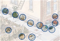 Rodent Control and Prevention